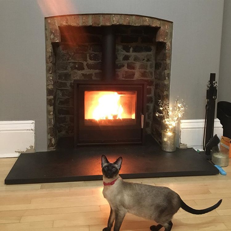 Log burner installed by Cottage Stoves Wirral